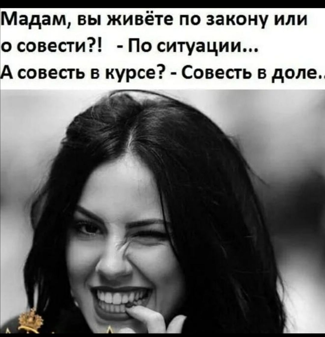 Мадам вы живёте по закону или о совести По ситуации совесть в курсе Совесть в доле