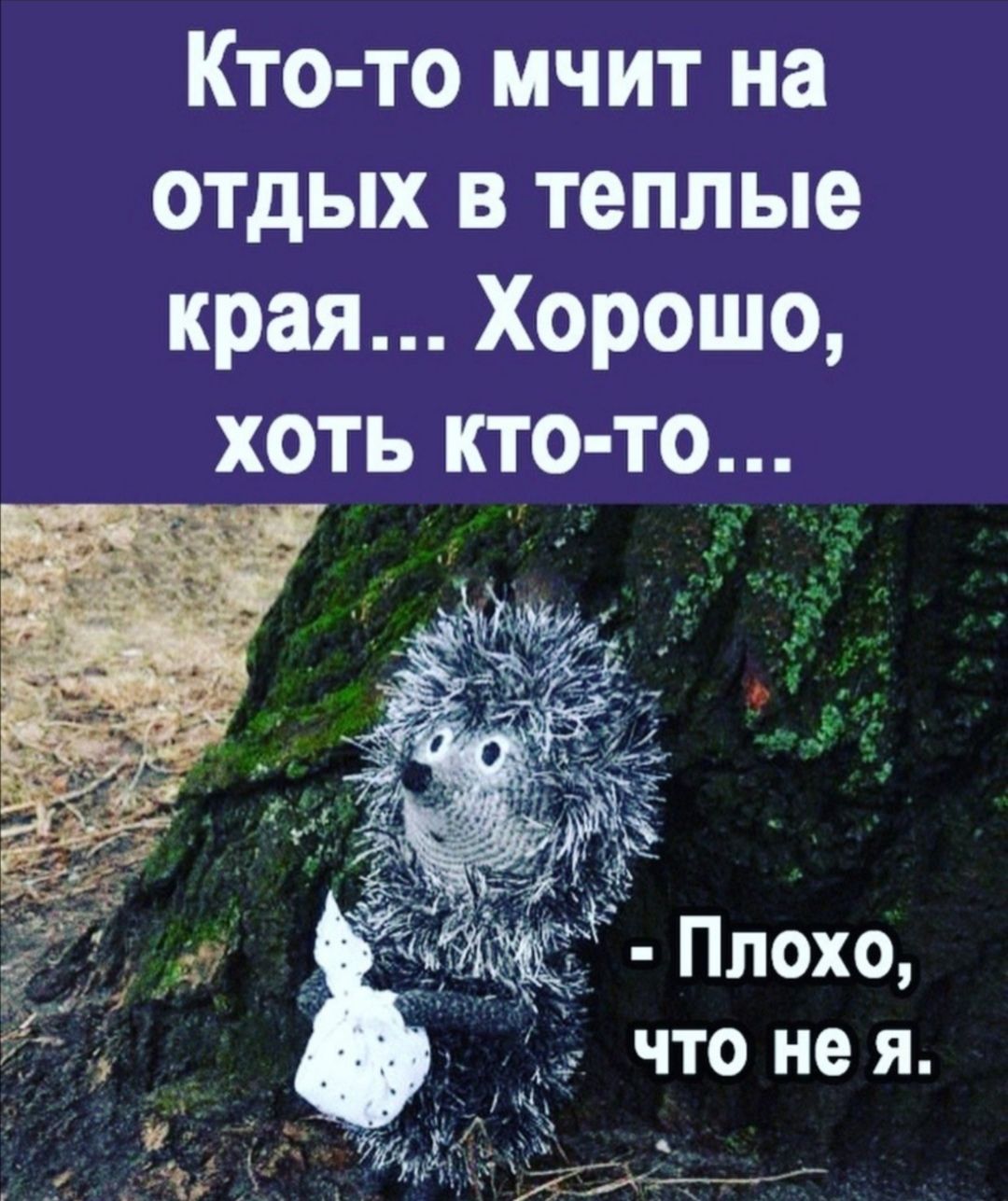 Кто то мчит на отдых в теплые края Хорошо