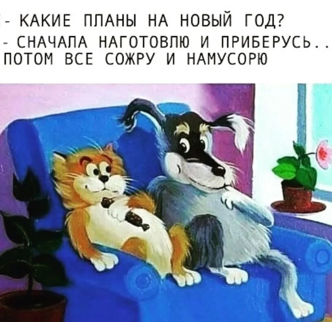 КАКИЕ ППАНЫ НА НОВЫЙ ГОД СНАЧАПА НАГОТОВПЮ И ПРИБЕРУСЬ ПОТОМ ВСЕ СОЖРУ И НАМУСОРЮ