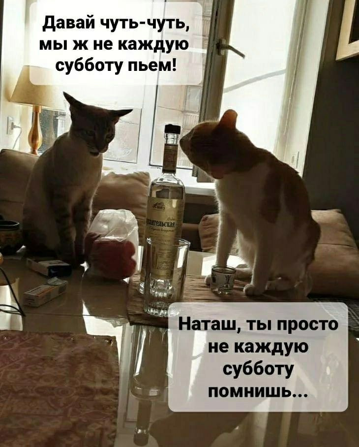 давай чуть чуть мы ж не каждую субботу пьем Наташ ты просто не каждую субботу помнишь