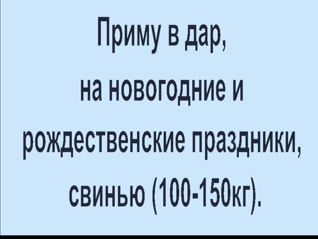 Приму в дар на новогодние и рождественские праздники свинью 100 150кг