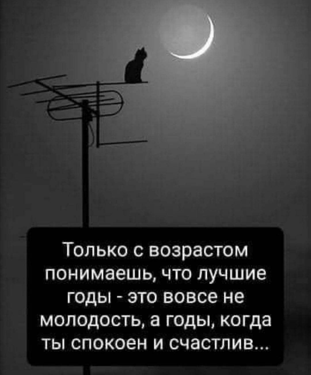 ТОЛЬКО С ВОЗРЗСТОМ понимаешь ЧТО ЛУЧШИЕ ГОДЫ ЭТО вовсе не МОЛОДОСТЬ а ГОДЫ когда ТЫ СПОКОЕН И СЧЗСТЛИВ