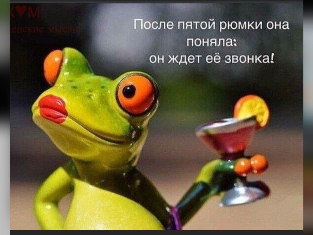 33 грмки онёі