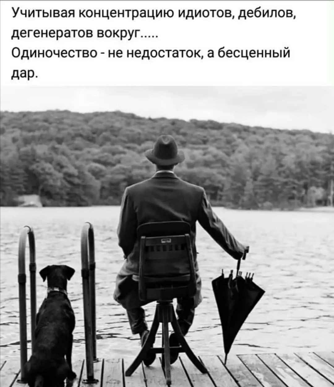 Учитывая концентрацию идиотов дебилов дегенератов вокруг Одиночество не недостаток а бесценный дар