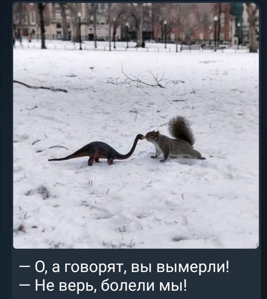 0 а говорят вы вымерли Не верь болели мы