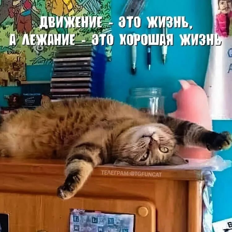 _ дай