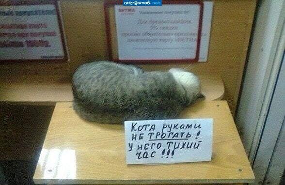 КИЛ Ёуками и у него Тиии то