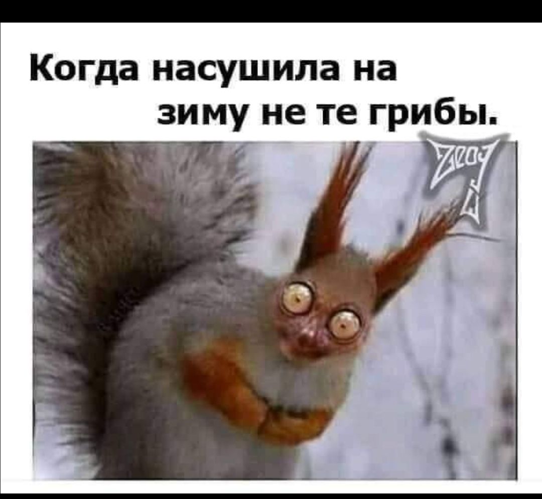 Когда насушила на зиму не те гриъбы