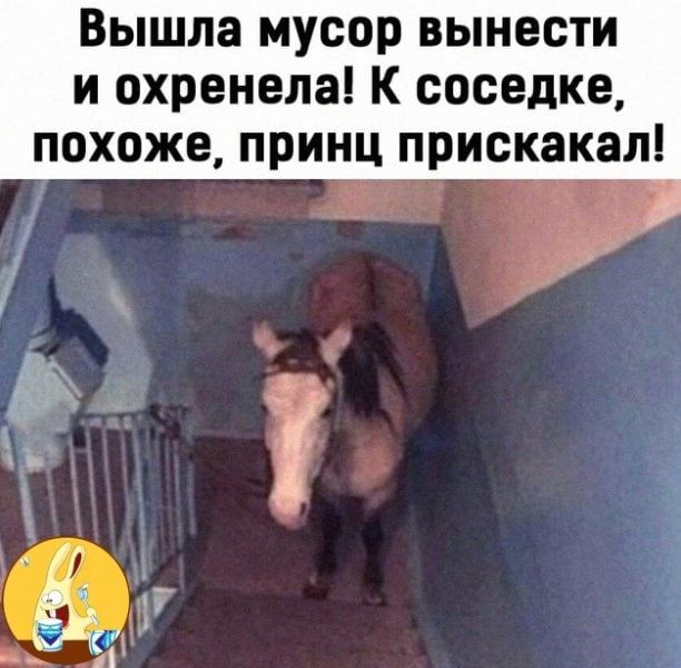 ВЫШЛЗ МУСОР ВЫНВСТИ и охренела К соседке похоже принц прискакал Зажим _