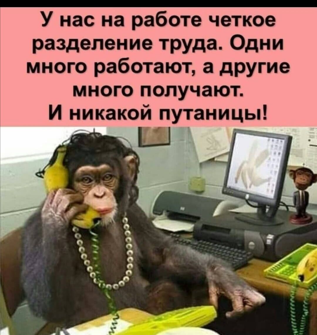 У нас на работе четкое разделение труда Одни много работают а другие много получают И никакой путаницы