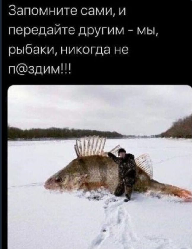 Запомните сами и передайте другим мы рыбаки никогда не п3дим