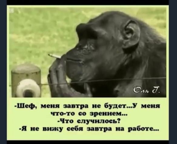 Шеф меня завтра не будет У меня что то со зрением то случилось Я не вижу себя завтра на работе