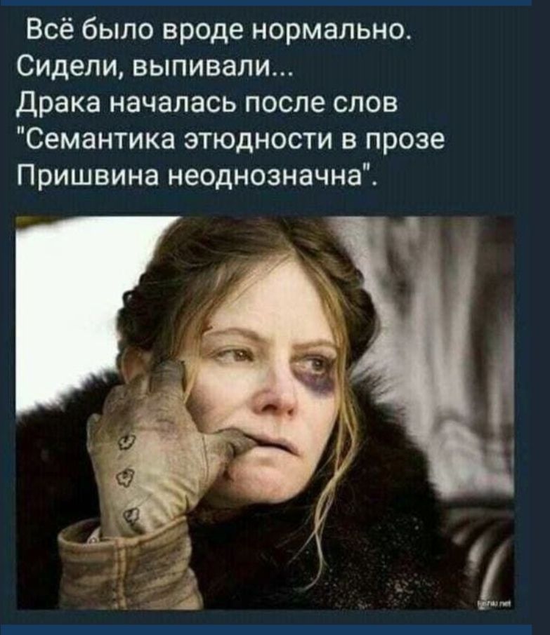 Всё было вроде нормально Сидели выпивали Драка началась после слов Семантика этюдности в прозе Пришвина неоднозначна