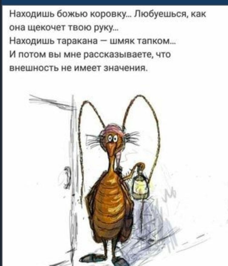 Находишь божью коронку Любуешься как она щекочет твою руку Находишь таракана шмяк тапком И потом вы мне рассказываете что внешность не имеет значения