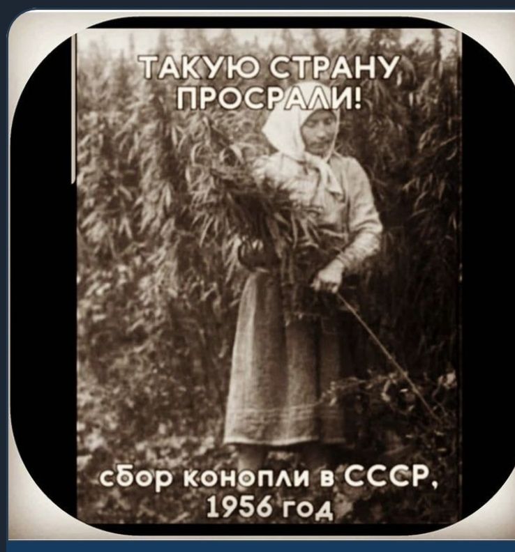 др 74сЁЁрЁфрйЬпАи в_ССеР 7 _ 1956годг