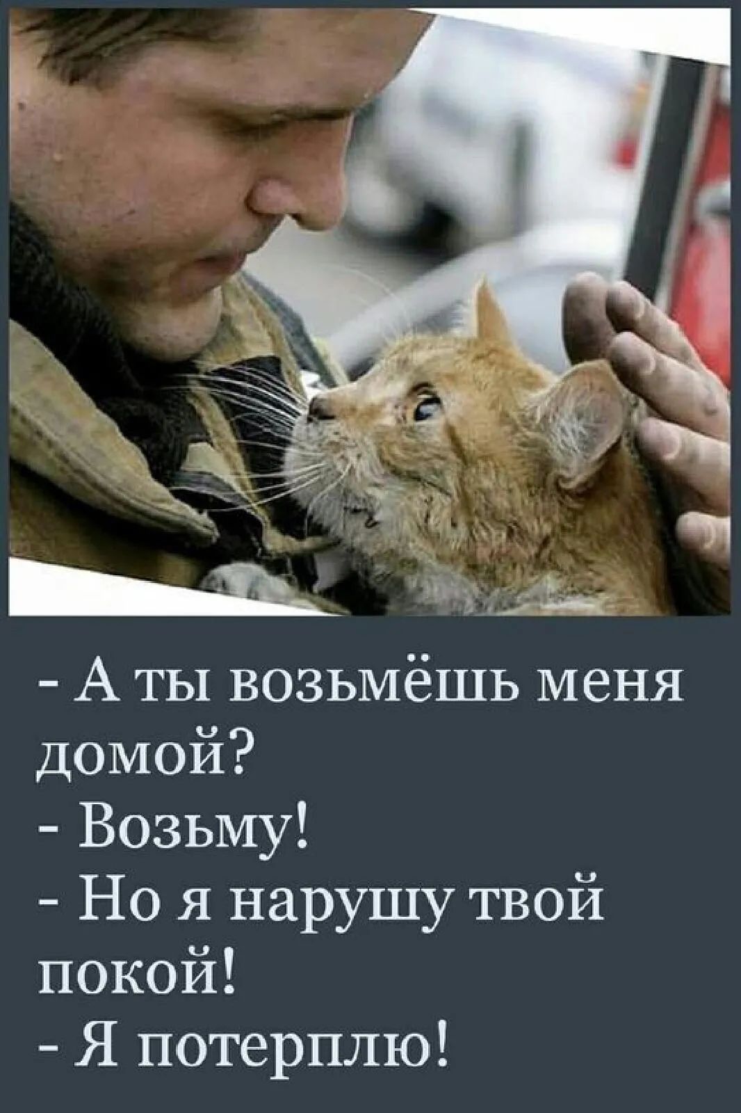 А ты возьмёшь меня домой Возьму Но я нарушу твой покой Я потерплю