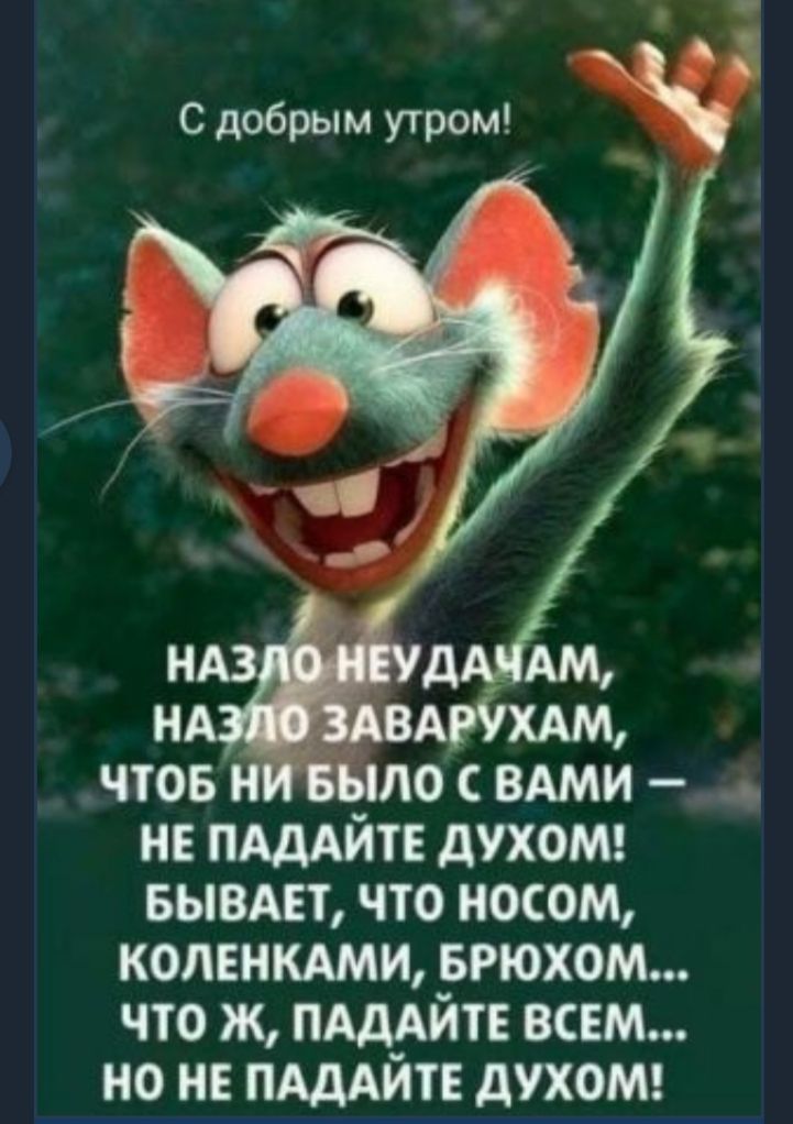 С добрым утром чтов н БЫЛО вдми не ПАДАЙТЕ духот выедет что носом коленкдми БРЮХОМ что ж ПАДАЙТЕ всем но не ПАДАЙТЕ духош