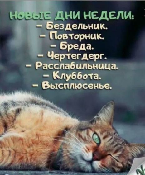 Чертвгдёрг Ёпарцльнцца 1 1 пурботё_ _ Выспліёечьедт