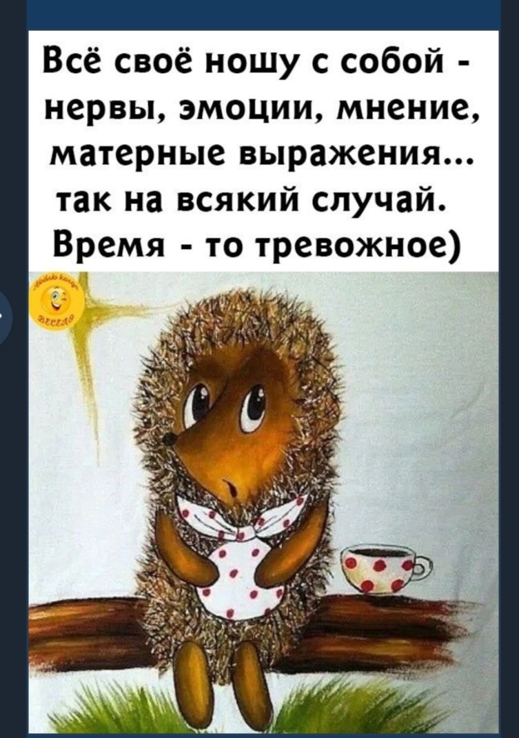 Всё своё ношу с собой нервы эмоции мнение матерные выражения так на всякий случай Время то тревожное