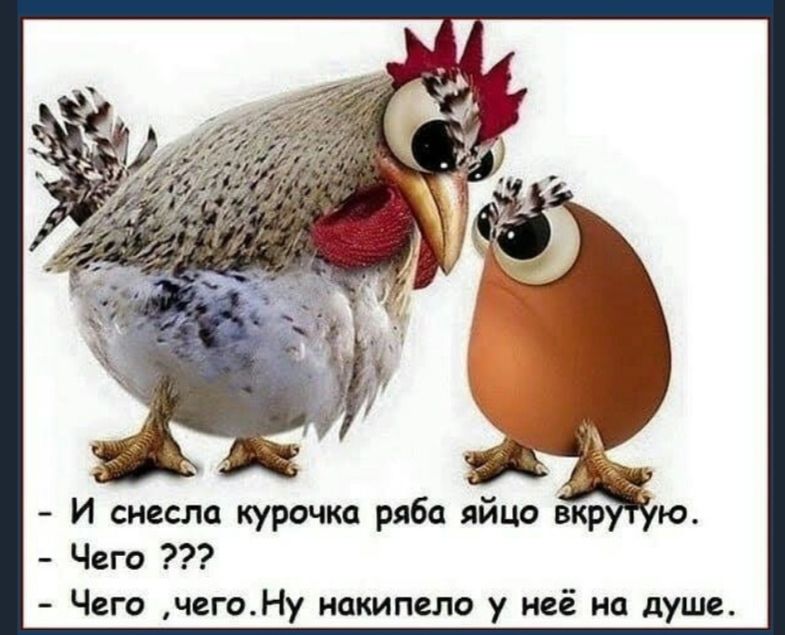 И снесла курочка ряба яйцо вкр ю Чего Чего чегоНу накипело у неё на душе