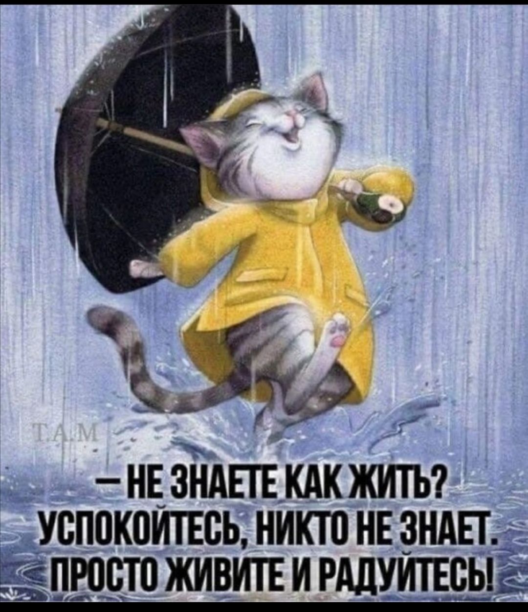 179 ь дНЕЗНАЕГЕКАКЖИТЬ успокоить никто не видна Ёпюстп живипирдлутсыё _ Ъ