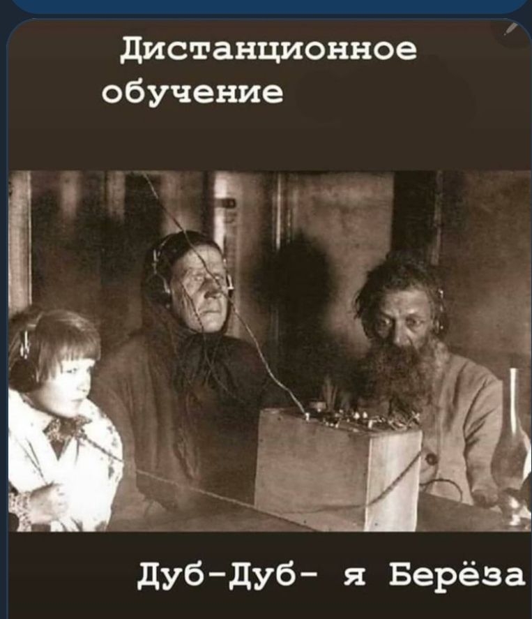 дистанционное обучение дубдуб я Берёза