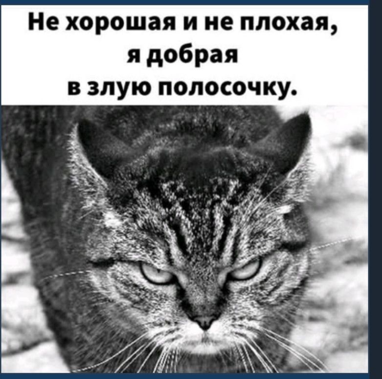 Не хорошая и не плохая я добрая в злую полосочку