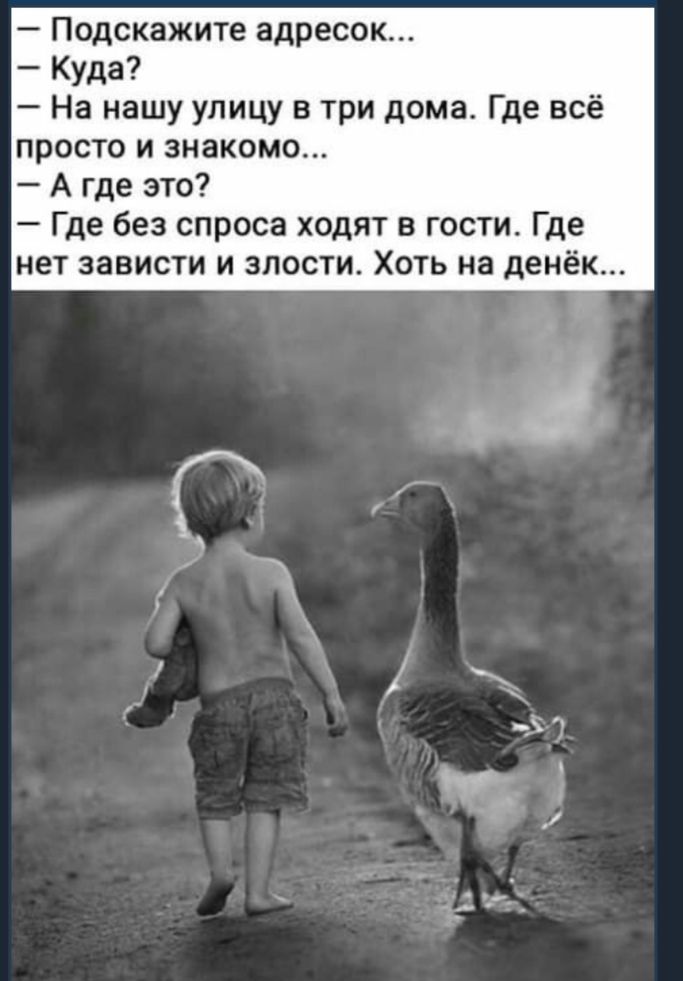 Подскажите адресок Куда На нашу улицу в три дома Где всё просто и знакомо А где это Где без спроса ходят в гости Где нет зависти и злости Хоть на денёк