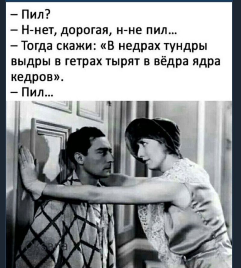 Пил Н нет дорогая нне пил Тогда скажи В недрах тундры выдры в гетрах тырят в вёдра ядра кедров Пил