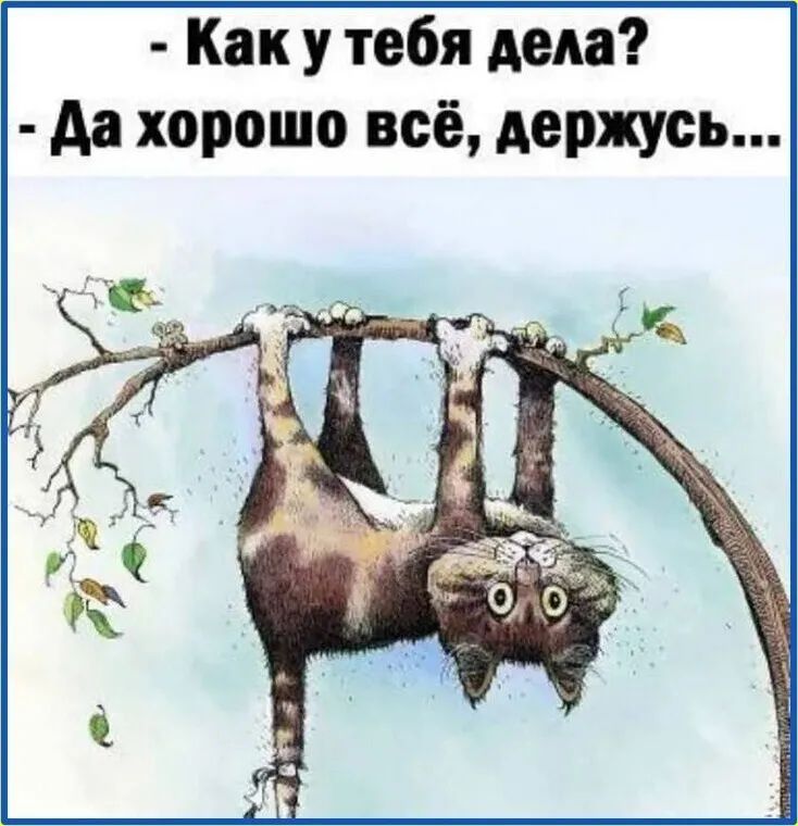 Как у тебя дела Аа хорошо всё держусь