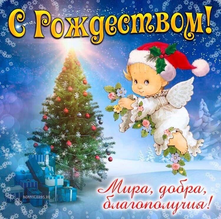 Й, га 90,24  шишо. 16