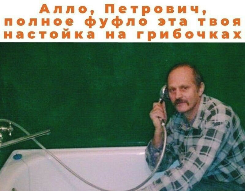 Алло Петрович полное фуфло эта твоя настойка на грибочках _ И