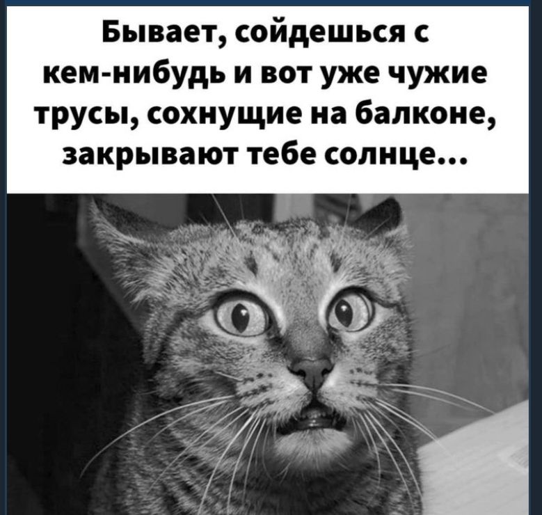 Бывает сойдешься кем нибудь и вот уже чужие трусы сохнущие на балконе закрывают тебе солнце