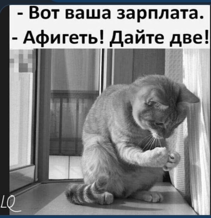 Вот ваша зарплата Афигрть дайте две 3