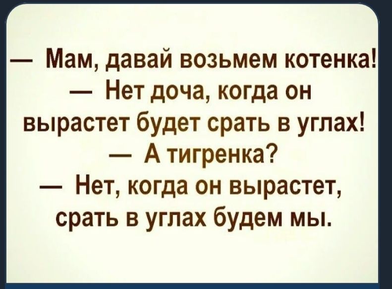 Давай бери глубже. Мама давай возьмем котенка. Анекдоты в картинках. Мама давай заведем котенка анекдот. Мама давай купим.