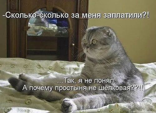 СК0ПЬЁ 011ько за мёшэапшё