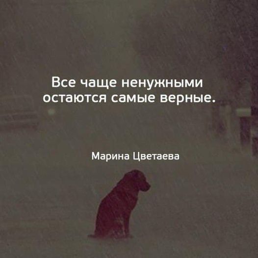Все чаще НЕНУЖНЫМИ ОСТБЮТСЯ СЗМЫе верные Марина Цветаева