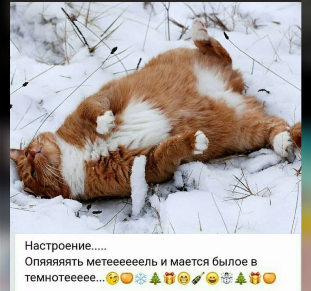 Настроение Опяяяяять метеееееель и мается былое в темнотеееее0 ПОРОЙ 3