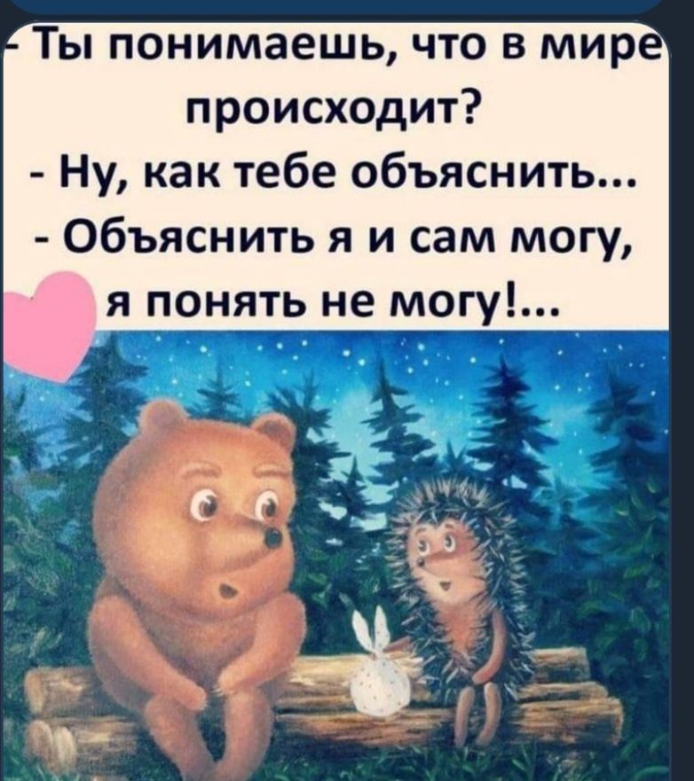 я не могу понять на английском