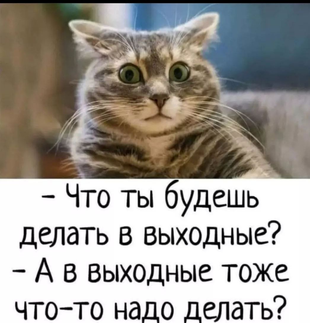Что ты будешь делать в выходные А в выходные тоже чтото на_о _елать