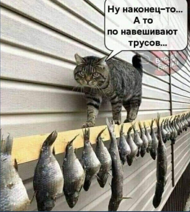 Ну наконец то А то по навешивают трусов