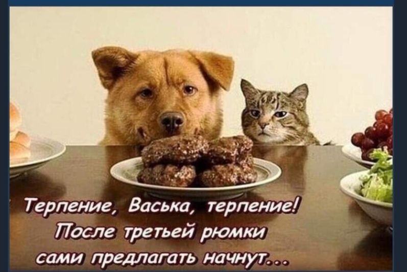 Терпение Васька терпение После третьей рюмки сами предлагать начнут