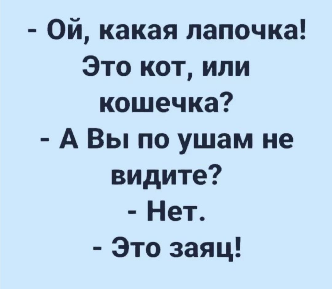 ой, какая лапочка! Это кот, или кошечка?  А вы по ушам не видите?  Нет.  Это заяц!