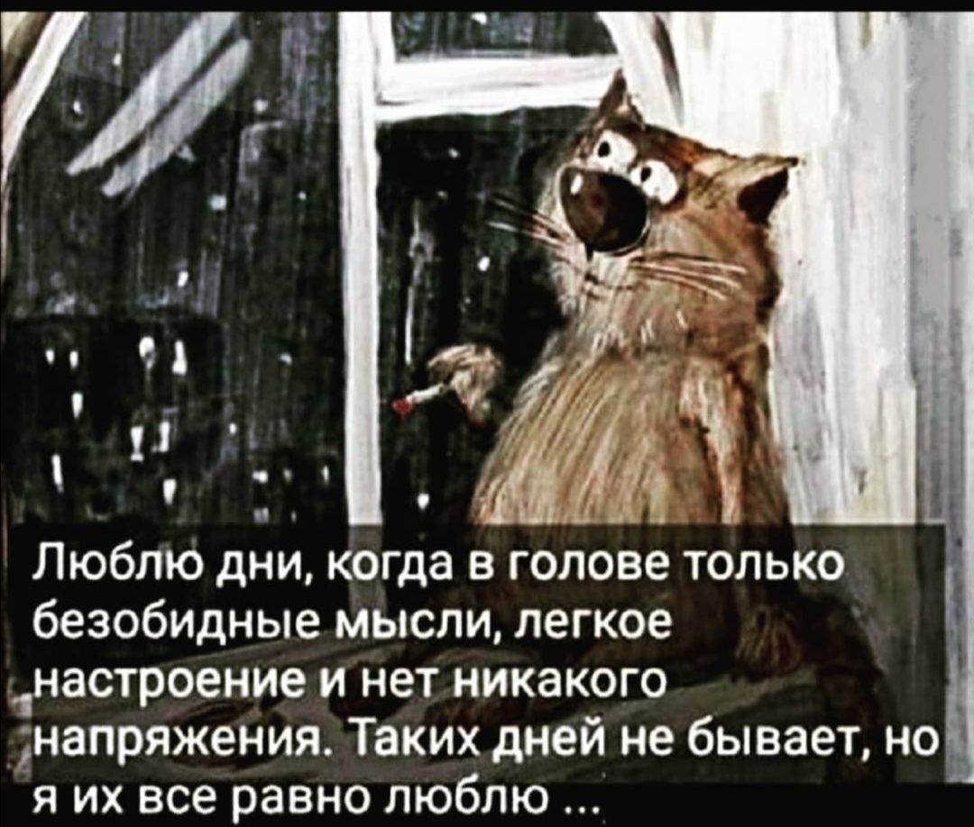 безобидные мысли легкое настроение и нет никакого напряжения Таких дней не бывает но я их все равно люблю 1