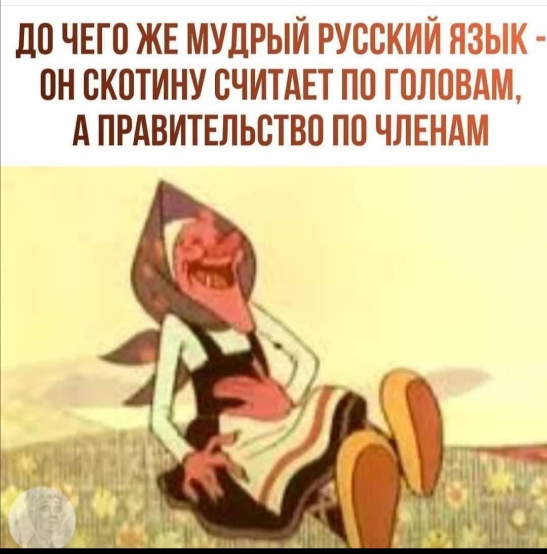до ЧЕГО ЖЕ МУДРЫЙ русский ъ он скотину считднт по гпииввдьиа А ПРАВИТЕЛЬСТВО пп ЧЛЕНАМ