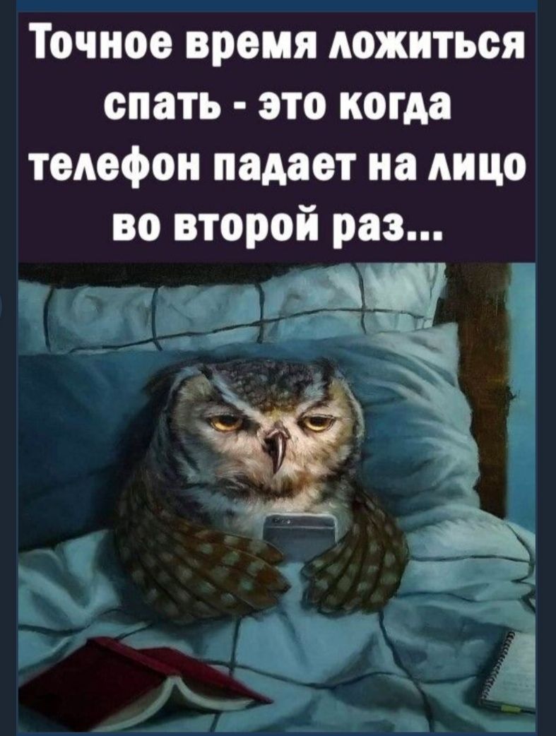 Точное время ложиться спать это когда телефон падает на лицо во второй раз