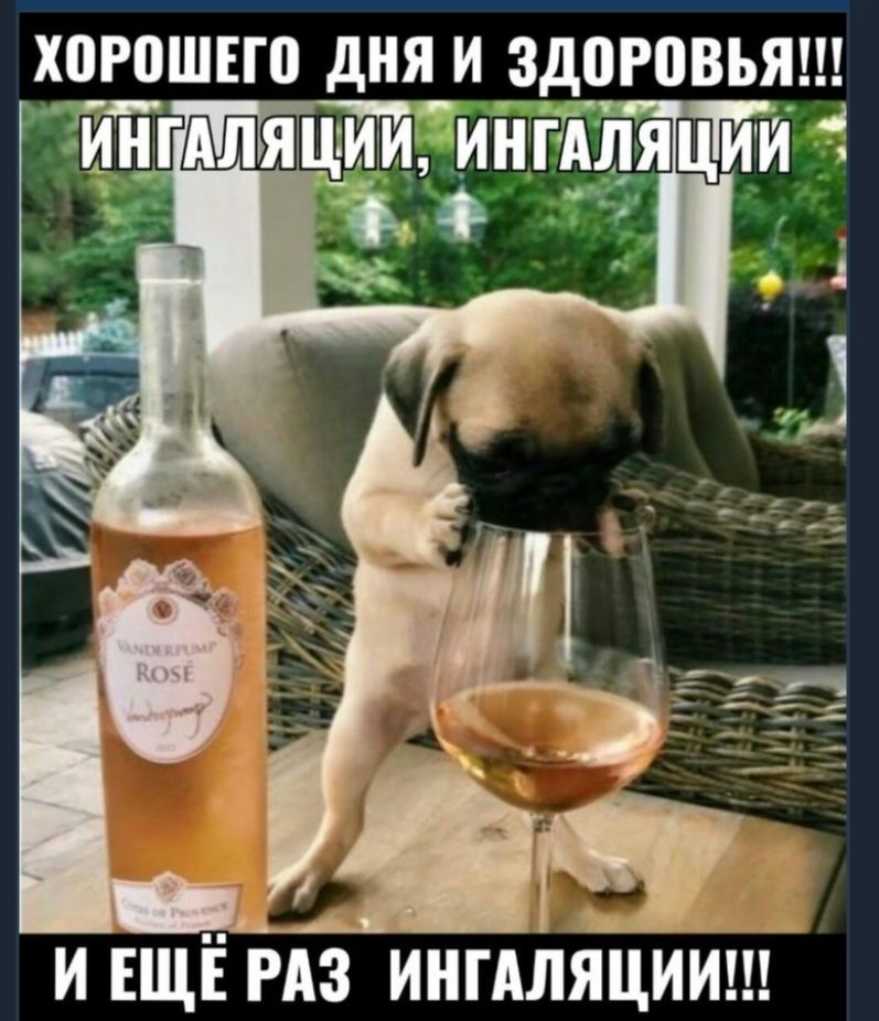Хпрвшею дня ц здврпвъя
