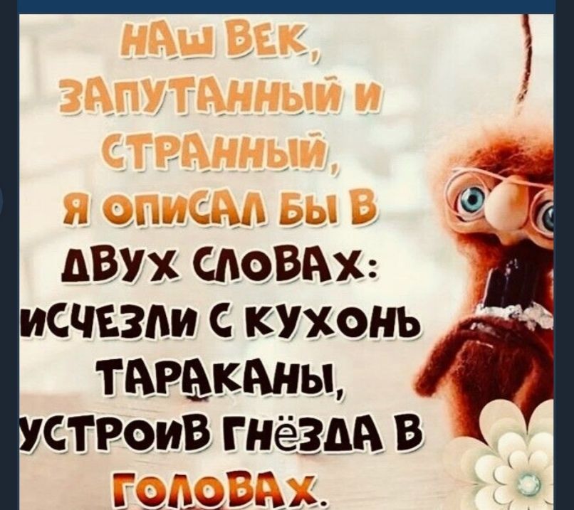 Двух словахх: исчезли с кухонь тараканы, 3 строив гнезш в кой ыь .