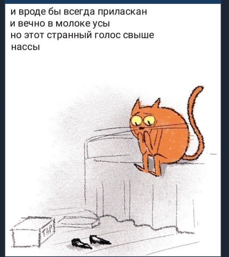 И вроде бы всегда приласкан и вечно в молоке усы но этот странный голос свыше нассы