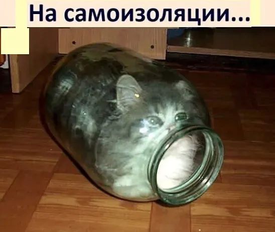 На самоизоляции